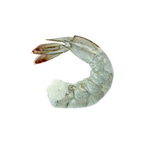 Camarón chico sin cabeza