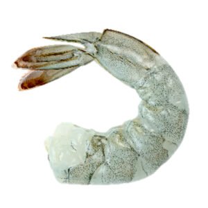 Camarón grande sin cabeza