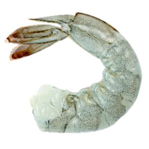 Camarón Jumbo sin cabeza