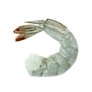 Camarón mediano sin cabeza