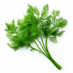 Eneldo fresco