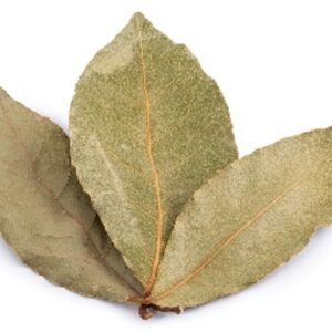 Hojas de laurel secas