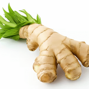 Jengibre