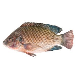 Mojarra