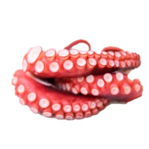 Tentáculos de Calamar cocidos