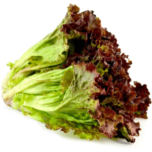 Lechuga sangría